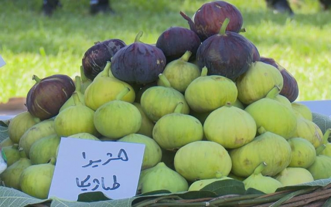 لە دهۆک بازاڕێک بۆ بەرهەمە نێوخۆییەکان کرایەوە